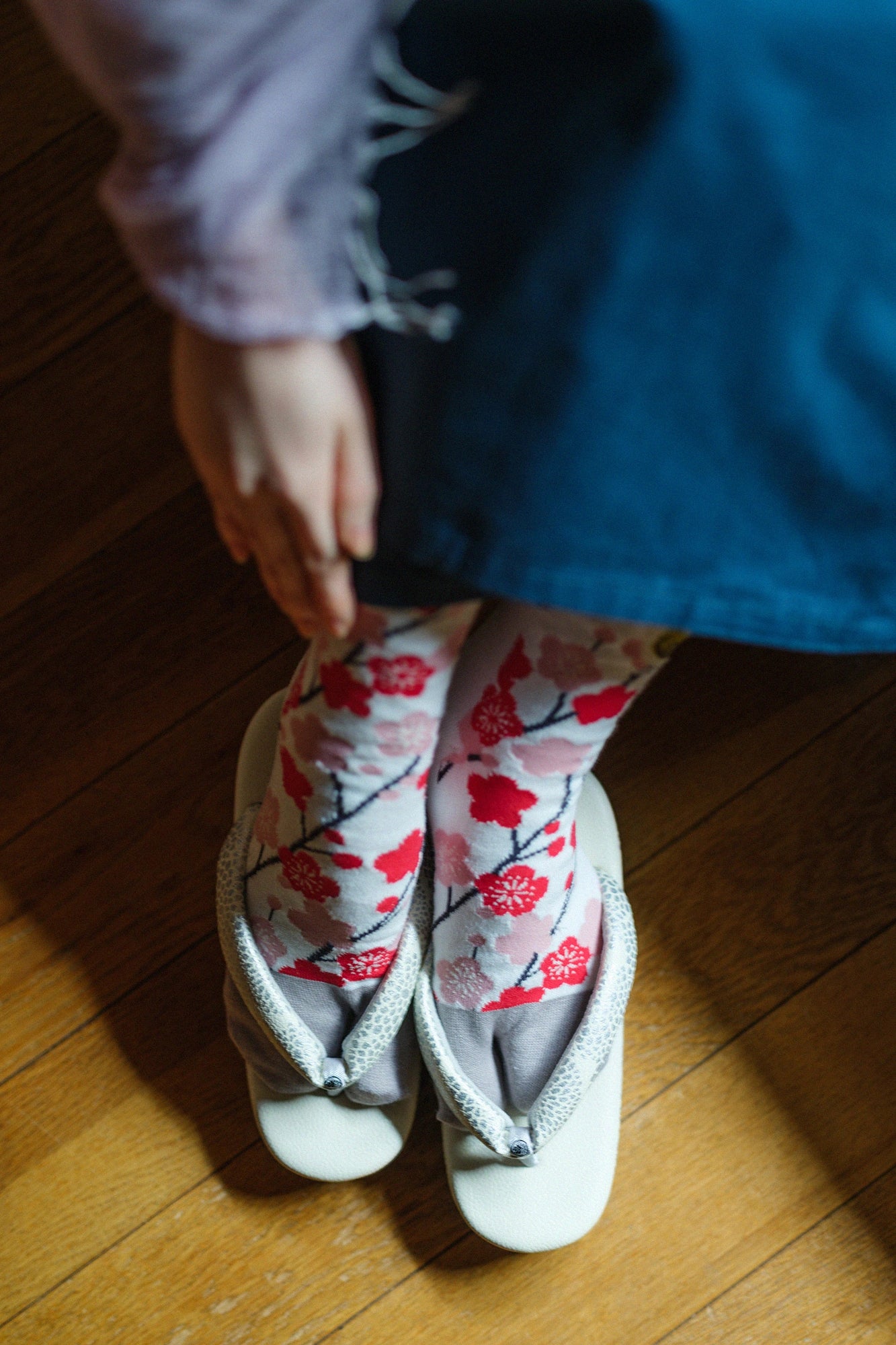 Tabi Socks (Mid-calf)／Plum Grove Bush-warbler【Men・Women】