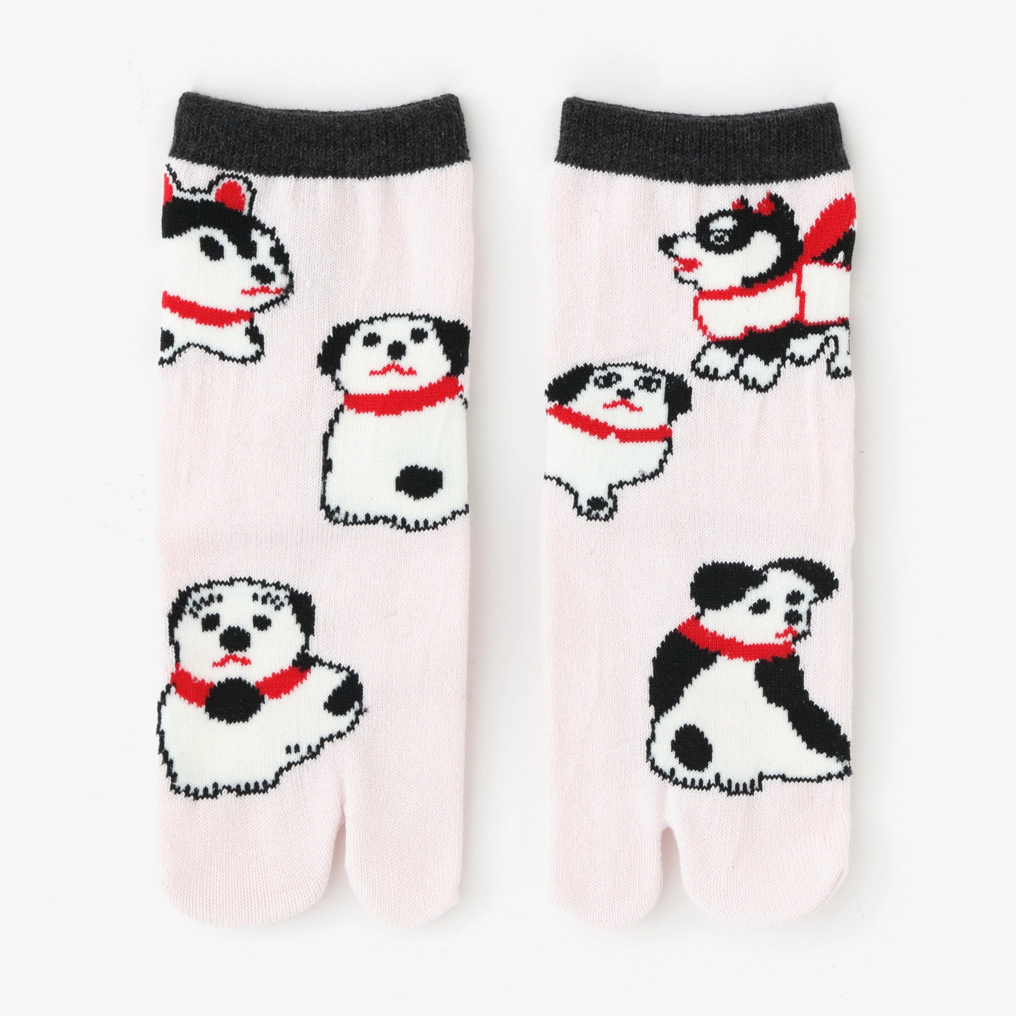 ●Chanson/chien régulier pour enfants [Petit/Moyen/Grand]