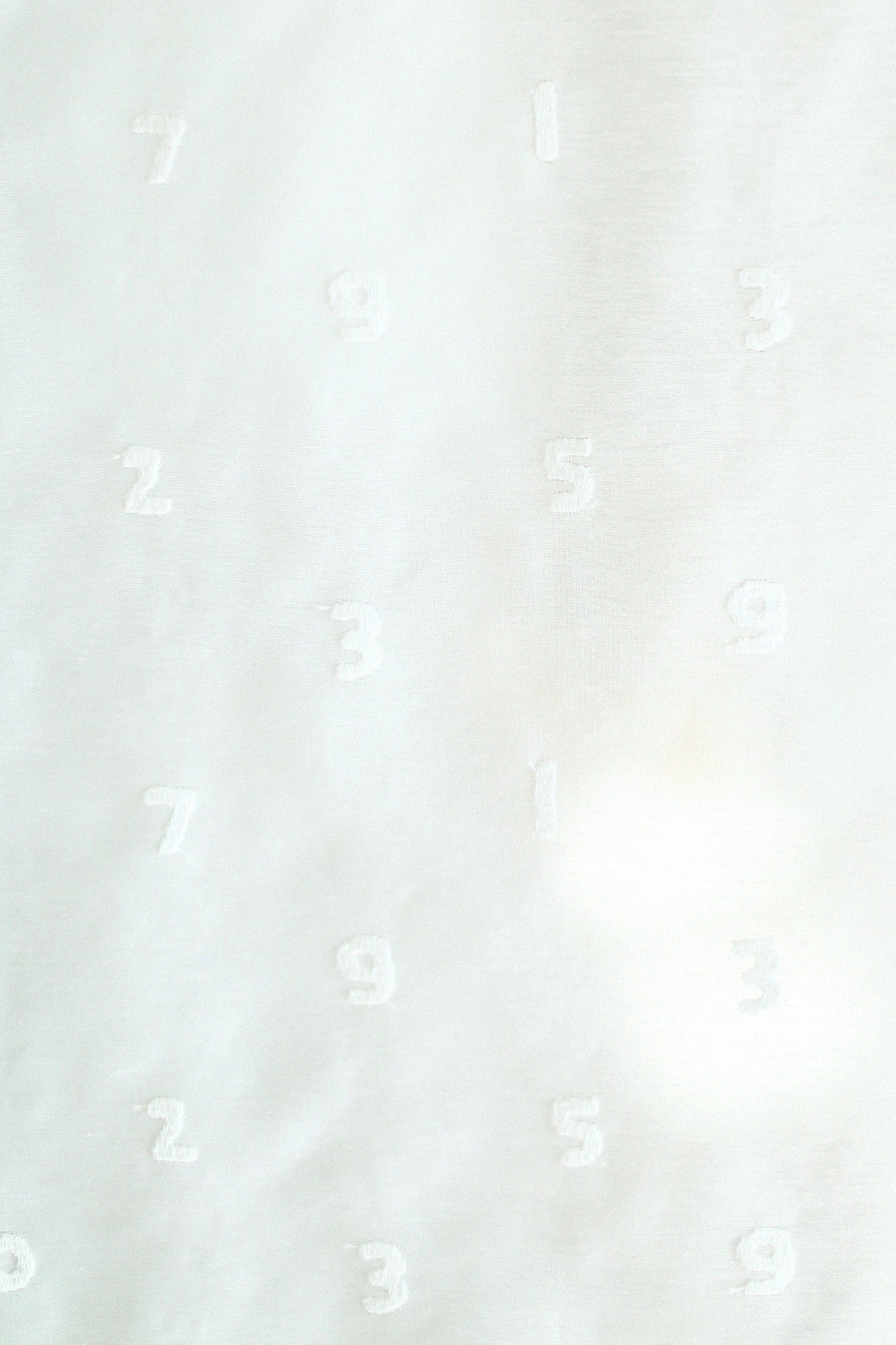 Textile sold in cuts（Lace Embroidery Fabric）/SO-SU-U White <50cm>