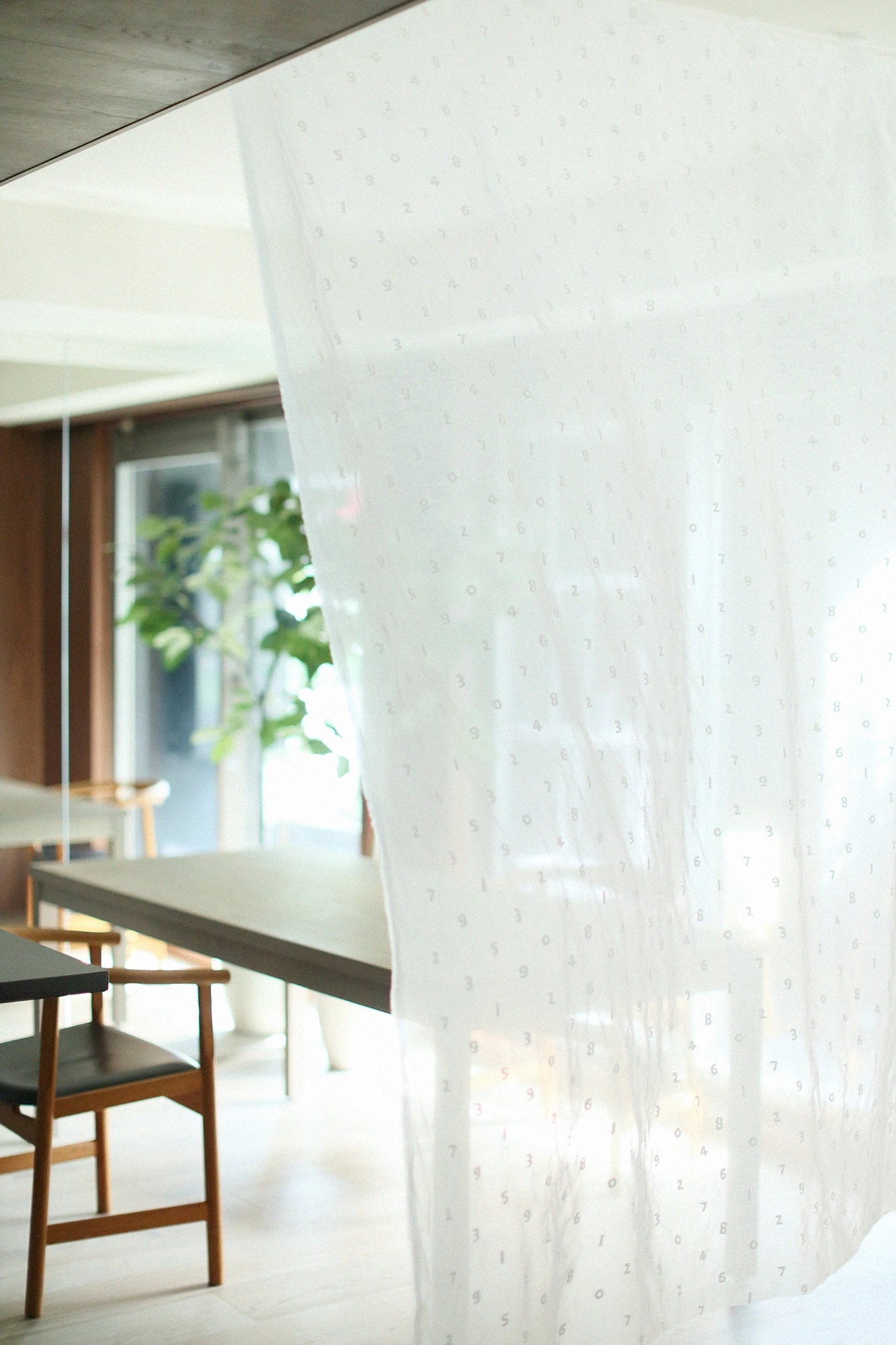 Textile sold in cuts（Lace Embroidery Fabric）/SO-SU-U White <50cm>