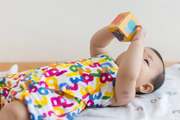 ●いせもめん きんたろう／そすう とりどり