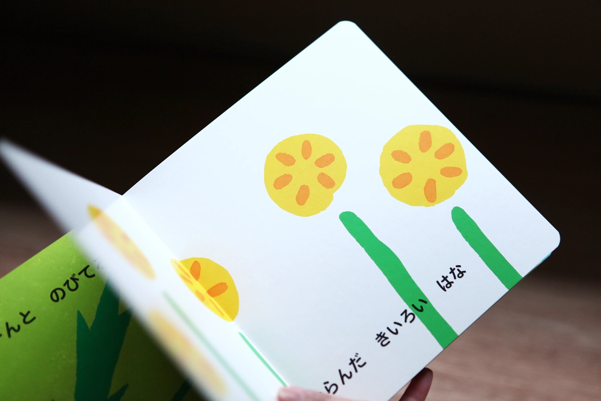 ●[Autographié] Livre d'images/Quelle fleur aimez-vous le plus ?