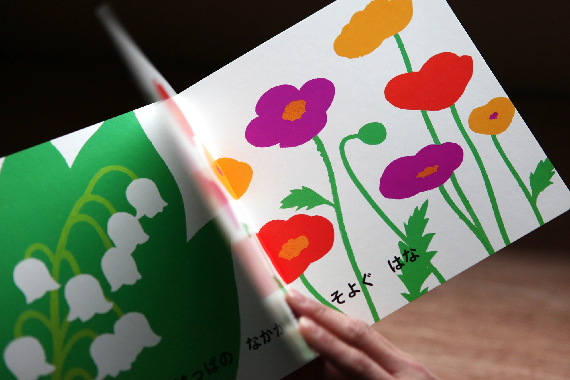 ●[Autographié] Livre d'images/Quelle fleur aimez-vous le plus ?